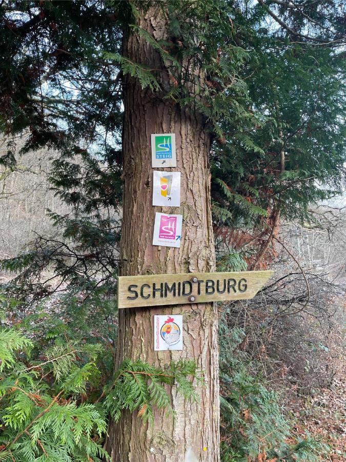 Am Apfelbaum, Ein Ferienhaus Zwischen Rhein Und Mosel Кастеллаун Экстерьер фото