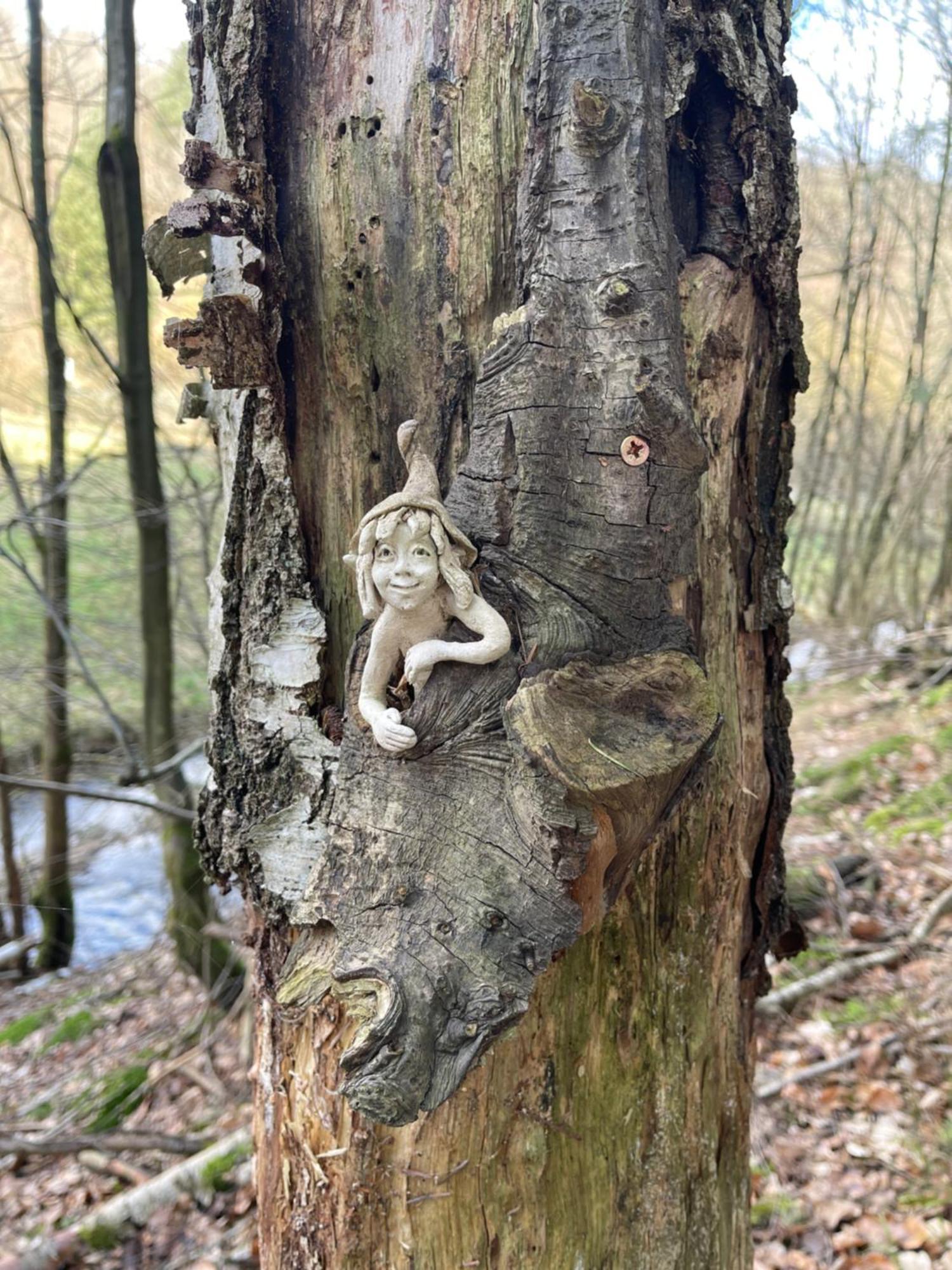 Am Apfelbaum, Ein Ferienhaus Zwischen Rhein Und Mosel Кастеллаун Экстерьер фото