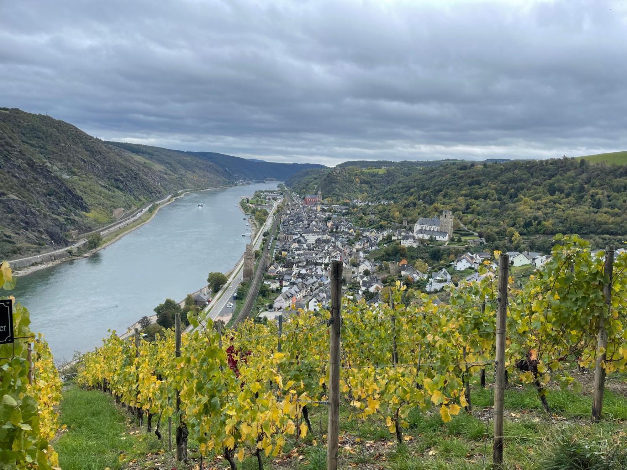 Am Apfelbaum, Ein Ferienhaus Zwischen Rhein Und Mosel Кастеллаун Экстерьер фото